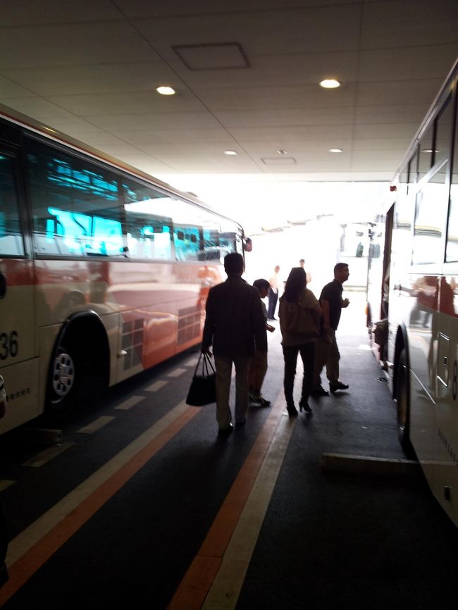 優先搭乗に浮かれた後はwバスで飛行機へ。