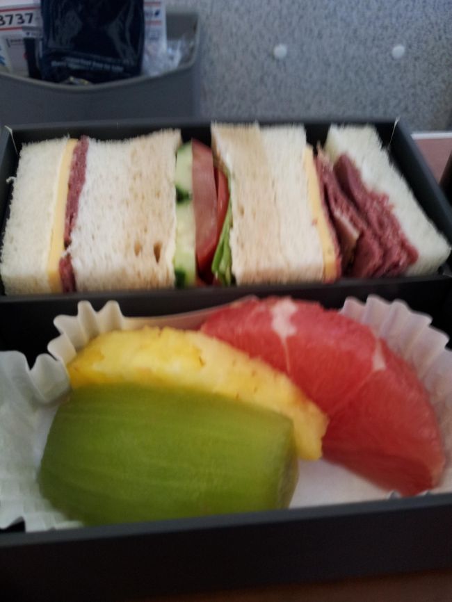 成田ー福岡は国内線ではそこそこ距離があるので楽しめました。<br />次は羽田から乗ってみたい。