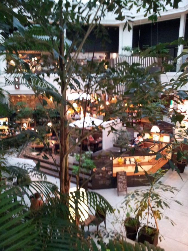 レストランフロアは面白いつくりです。この席いいな。