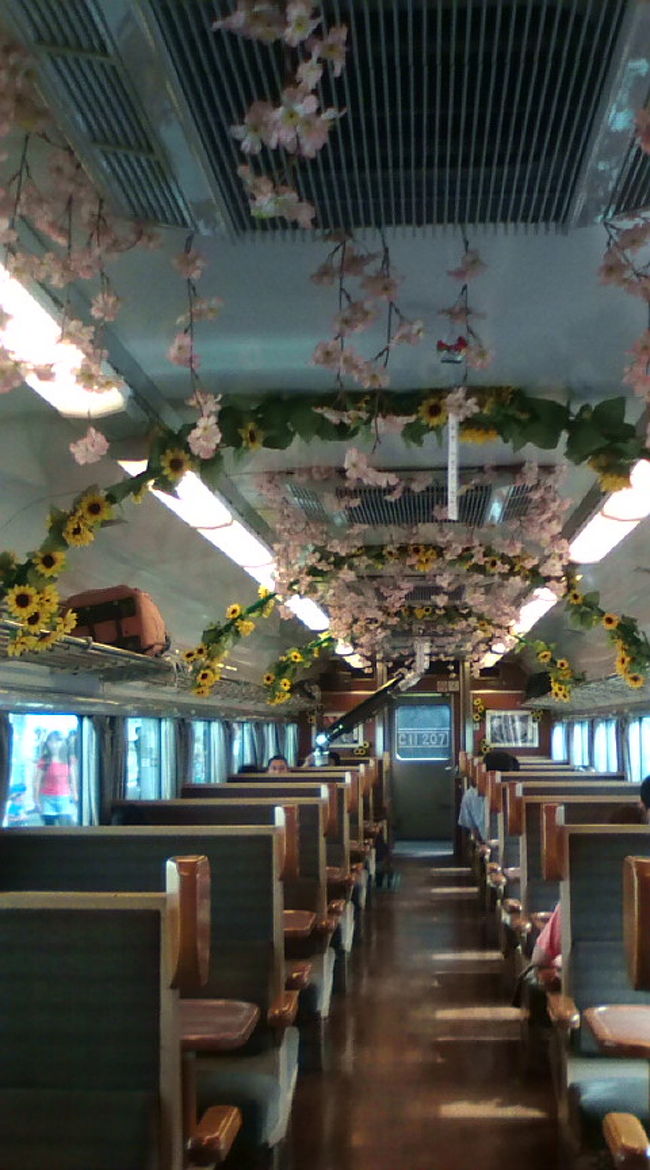 客車内はこんな感じです。車両ごとに花の名前がついていて、ここは「さくら」　<br />桜のイメージで飾り付けされています。