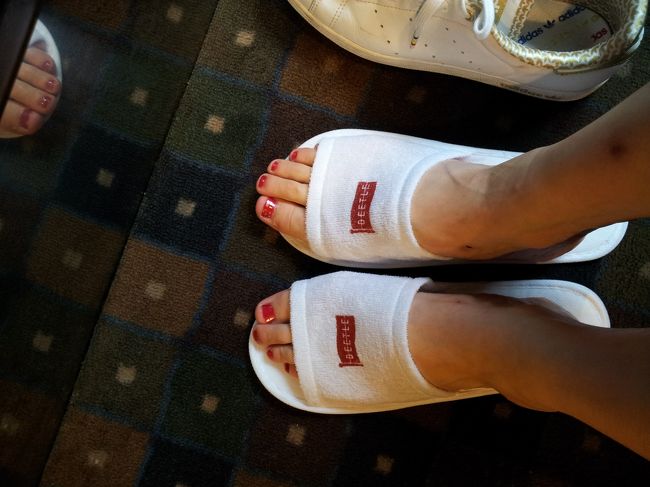 スリッパ付き。