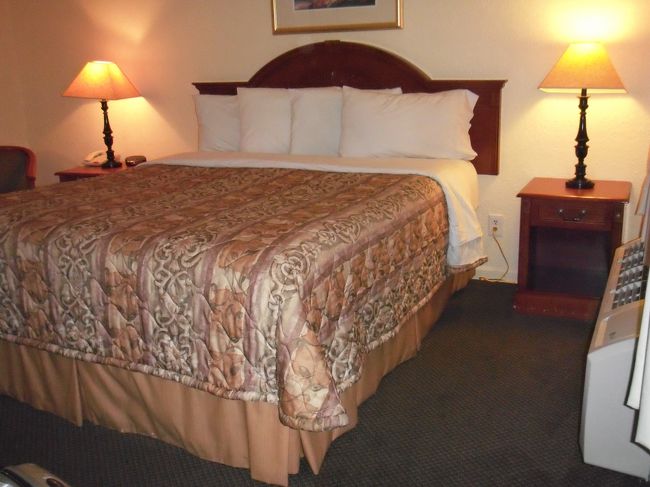 ホテルはロッジというだけに簡素です。<br />が必要十分な設備はありました。<br /><br />ベッドの高さが高くて上るのにひと苦労。<br /><br />部屋が狭いので、この上で生活してました。