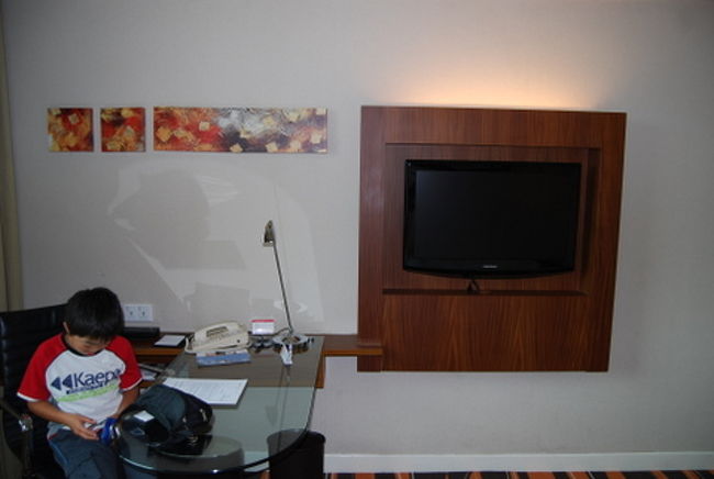 テレビは、NHKも映ります。