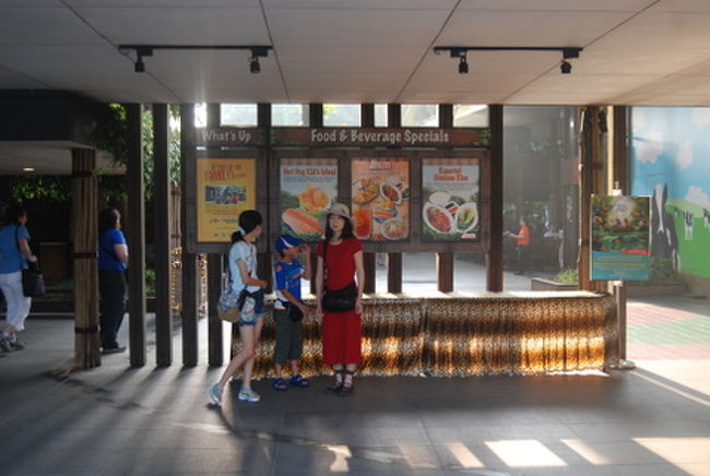 翌朝、シンガポールZooにやってきました。<br />開場の8:30より少し前に到着しましたが、すでに数十組が来ていました。<br />ここでは、行きに乗った、シンガポール航空の搭乗券の半券を人数分提出すれば、入場料+トラム乗り放題が定価の15%OFFで購入できます。<br /><br />詳しくは<br />http://www.singaporeair.com/ja_JP/special-offers/sia-bpp/<br /><br />を参考にされてください。