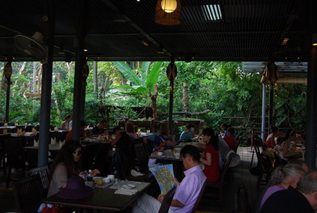 さて、Remarksの効果は？<br />予約席は、この写真の手前から２番目のテーブルです。<br />オランウータンのステージの真ん前からは３列目になります。<br />直前の予約ですので、見やすい席でしたし良い方だと思います。<br />この３列目までは一段上がっていますから、相対的にその周囲は一段下がっているのでステージが見えにくいと思います。