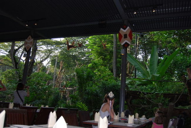 朝食を食べていると、やってきました。<br />