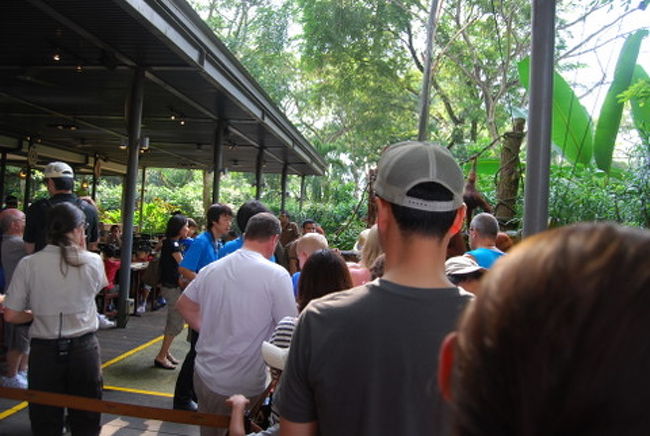 しばらくすると記念撮影が始まります。<br />放送が流れるのが聞き取れなくても、ステージを先頭に列を作りますので、すぐわかります。<br />撮影は、スタッフ２名が、レストランのカメラと、ゲストのカメラで撮ってくれました。もちろんレストランのカメラで撮った写真は後ほど印刷してテーブルに売りに来ます。我が家は持参した一眼で綺麗に撮れていたので、買う気がなかったので値段を聞きませんでした。