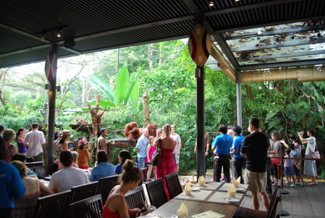 青いシャツを着ている２人がカメラマンで、オランウータンをバックに撮影してくれます。