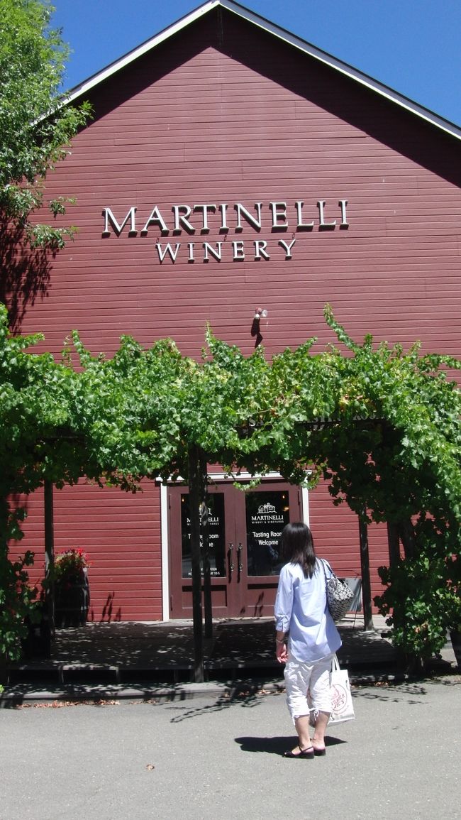 ◆Martinelli ワイナリー<br /><br />サンタローザまで来たついでに近隣のワイナリーに立ち寄ることに。<br /><br />ここは地味で小さいワイナリーですが<br />そこそこ有名らしく、お客さんも途切れることなくやってきました。