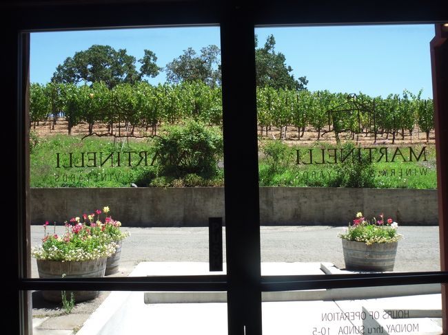 目の前はぶどう畑。