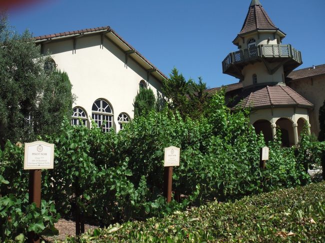 ◆Chateau St.Jean ワイナリー<br /><br />ソノマに戻ってきて　こちらを訪問。