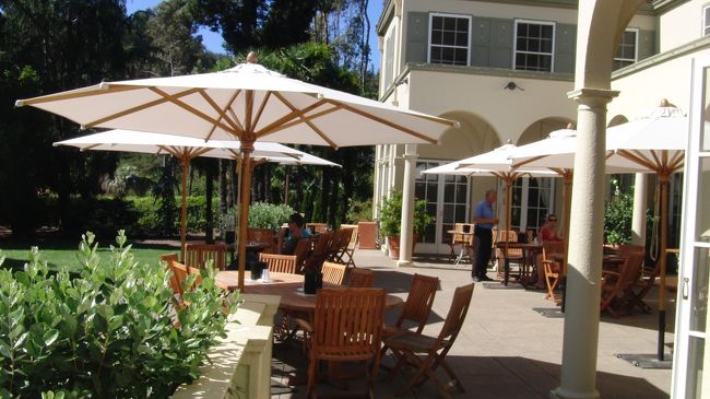 こんなところで飲めたら楽しいだろうな〜（下戸の私）