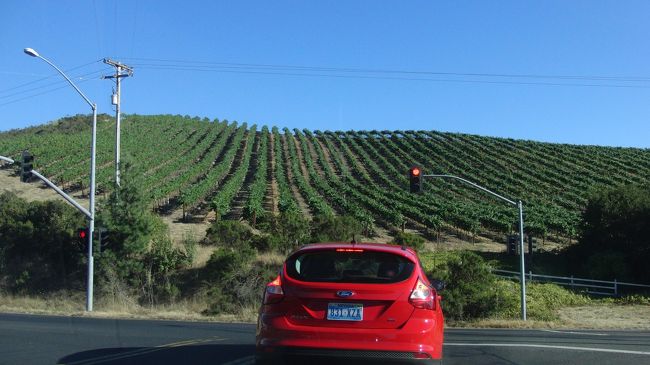 ◆ソノマ〜ナパに戻る<br /><br />ソノマの街をあとにしてナパに戻ります。<br />丘の斜面に整然と並んでいるブドウの木がワインカントリーらしいです。<br />