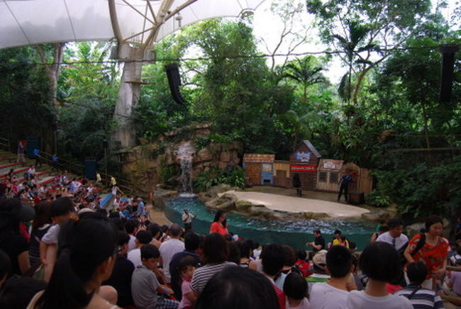 あしかのショーが行われていました