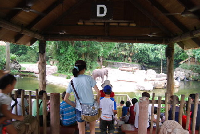 ここは象のパフォーマンスがあります。