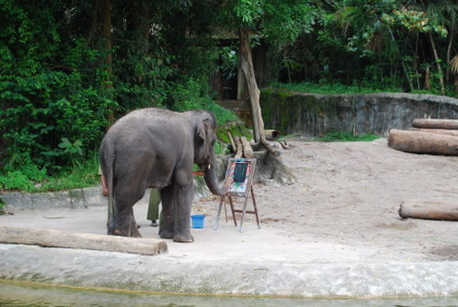 鼻で器用に絵を描き始めます<br />