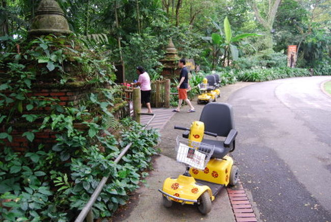 これは、＄３５だったレンタルカートです。<br />基本的に１人乗りですね。<br />このように路側帯に駐車スペースがあり停まっています。<br /><br />