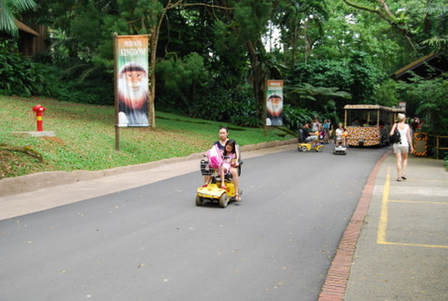 でも、子連れの多くは子どもを前に乗せて二人乗りをしてる人が多かったです。大人１人というのは少なかったですね。<br />歩くより楽でしょうけど屋根の無いのは日差しが強いので辛いかな？