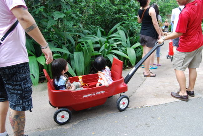 こちらは、＄１５の二人乗りのベビーカー？<br />結構利用している方が多かったですよ。