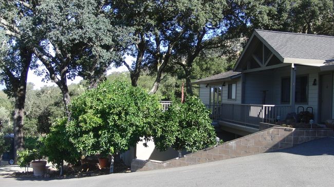 ◆名前を失念（通称：桃をくれたワイナリー）<br /><br />ここにきて風邪をこじらせてしまい<br />今日はワイナリーまでついて来て車で休んでいました。<br /><br />とてもフレンドリーなオーナーさんで<br />帰りに非常においしい桃をもたせてくださいました。<br />