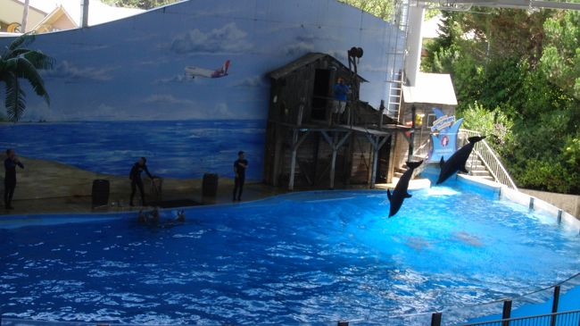 芸のレベルは今一つですが<br />イルカのかわいさに触れられたので良しとしましょう。