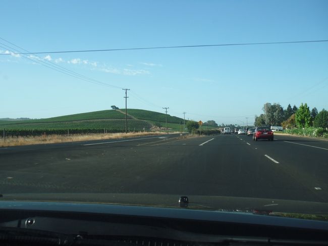 ナパからサンノゼまで2時間の移動です。<br /><br />80号→880号　を走る予定でしたが<br />ナビ「がーみんちゃん」の提案する経路に従うことにしました。