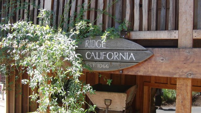 素朴で地味なワイナリーです。