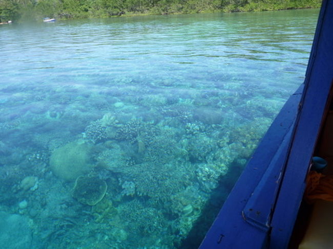 ボートから見た海中。<br />見てください。<br />この透明度と珊瑚礁<br />