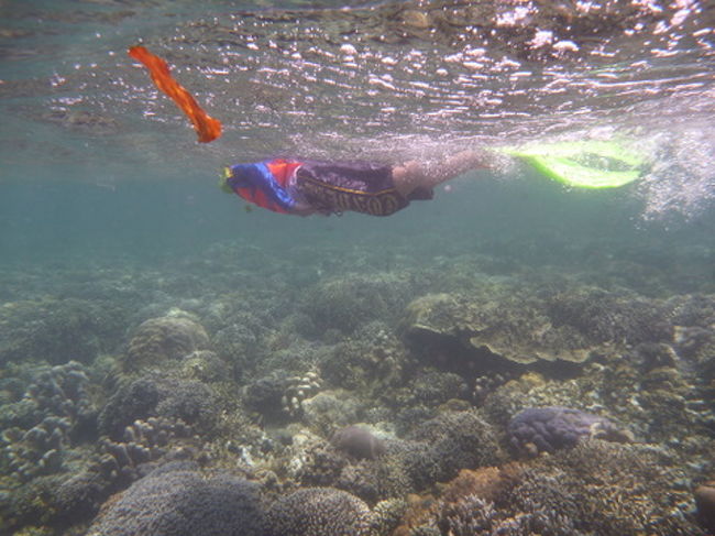 その後は別のポイントで3本目ですが、ブナケン島周辺はどこもこんなに浅い所があるので、スノーケルでも間近に魚を見ることが出来るので楽しいです。