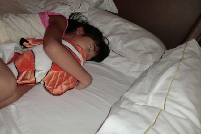 これで２日目は終わりです。<br /><br />ランドでゲットしたニモを抱っこしたまま眠りにつきました。