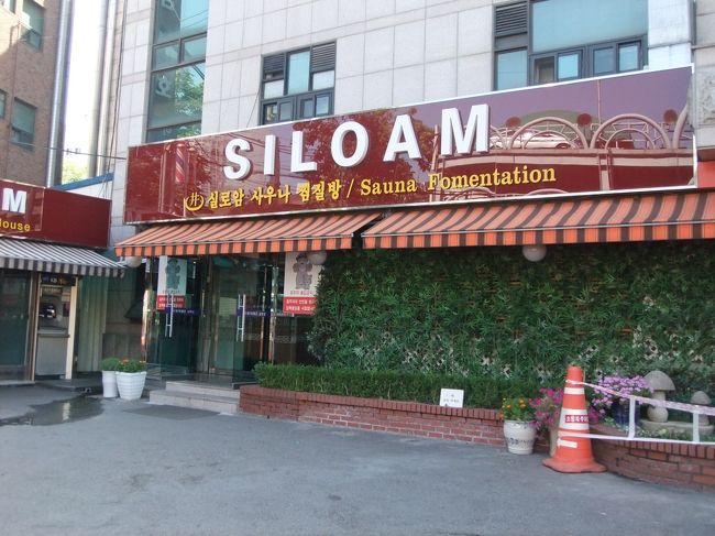 翌朝はまだアルコールが残っててダルいので、９時過ぎまで寝てた。<br /><br />