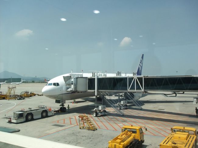 早めにラウンジを出て免税店をブラブラしてみたら、やっぱりパックが欲しくなって、20枚購入。