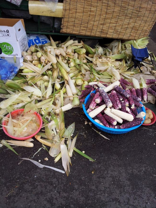 そういえば韓国では紫色のトウモロコシをよく見かけました。