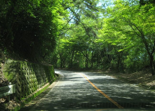 朝護孫子寺からスカイラインの入口までは一本道ですぐでした<br />標識もありましたのでわかりやすかったです<br /><br />スカイライン信貴山門料金所のおじさんに<br />「どこまで行きますか？」と聞かれ へっ？と戸惑うわたし。。<br />えっと…えっと…奈良市内に向かうんですケド…？？<br />「生駒まで抜けるんだね？1300円です。」<br />あ、ハイ。。？？？<br /><br />このスカイライン 出口が二つあるのはわかっていたのですが<br />どうやら出口と料金所が数か所あるらしく それぞれ料金が異なるようです<br />しかも往復してきて同じ料金所から出ることも可能なのでした<br /><br />そこまでは予習していなかったのでただ決まった通行料を払うだけかと…<br />信貴山から奈良市内へ向かう方は「登山口(料金所)までっ」と伝えましょう<br />そこから阪奈道路というバイパスに出たら奈良公園まで一直線です！