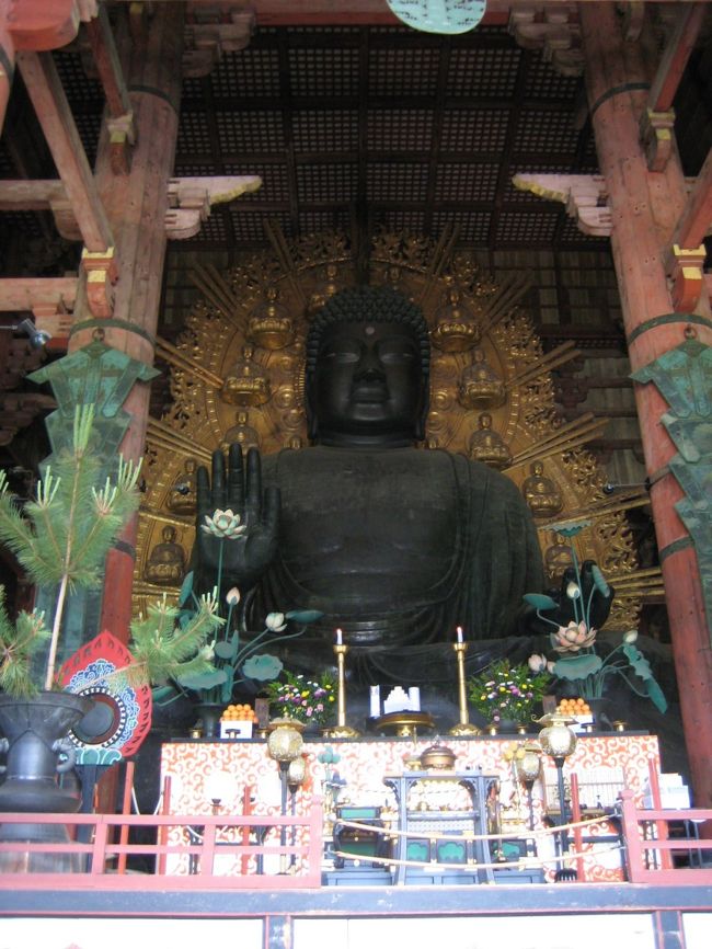 ってあれ？？<br />大仏さんて金色じゃなかった？？！<br /><br />なんの思い込みか 黄金色の大仏を期待していたワタシ。。<br />相方にバカにされました…<br /><br />正式には東大寺盧舎那仏像<br />２度の焼失・再建を経て現在に至ります