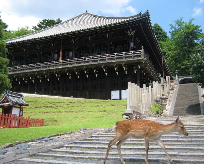 <br />肘からけっこうな出血をしている相方を連れて<br />次に向かうは二月堂！！<br />大仏殿からは徒歩10分もかかりません　<br /><br />しかし30度超えの奈良公園…歩くだけで汗だくになり<br />信貴山でもたっぷり歩いてきたアラサー＆アラフォーは<br />すでにバテ気味。。<br /><br />二月堂と鹿さんのツーショットを撮って<br />春日大社へ向かいますっ