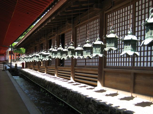 <br />向かいの直会殿には青銅色の灯籠が！<br /><br />お盆と節分の時期にはおよそ3000の灯篭に明かりをともして無病息災を願う「万燈籠（ まんとうろう）」が行われているようです<br /><br />他の方の旅行記で写真を拝見しましたが素敵でしたっ<br />いつか見に来よう！！！<br /><br />