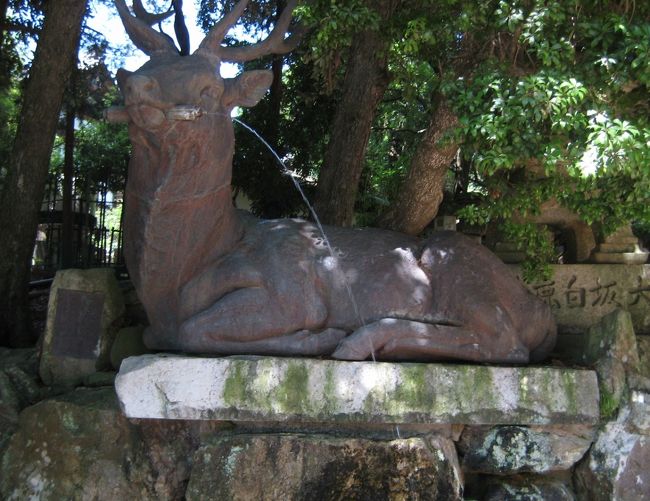 <br />ここにもいた(笑)<br />「伏鹿の手水所」と呼ぶそうです<br />本来は表参道から入ってここで手と口を<br />清めなくてはなりません。。<br /><br />すみませんね 逆まわりで。。