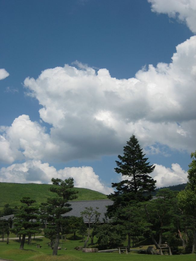 着いた―― 奈良公園！！<br />青空と若草山のコントラストがステキ！<br /><br />京都に住んでいたころ 一度だけ来たことがあります<br />当時の彼氏と(笑)京都からバイク二人乗りで。。<br />10年前かぁ〜若かったなぁ。。<br />その時は公園で鹿とたわむれて 若草山の山頂へ上がっただけでした<br /><br />なので今回の目的地・東大寺は20年ぶりっ<br />あ、もちろん連れは10年前とは別の人です(笑)