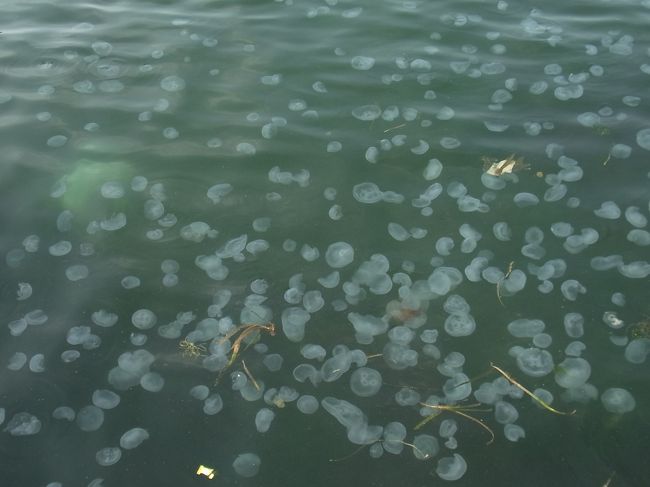 2012年夏 三浦半島ツアー 馬堀海岸 走水 観音崎編 横須賀 神奈川県 の旅行記 ブログ By Swalさん フォートラベル 2012年夏 三浦半島ツアー 馬堀海岸 走水 観音崎編 横須賀 神奈川県 の旅行記 ブログ By Swalさん フォートラベル