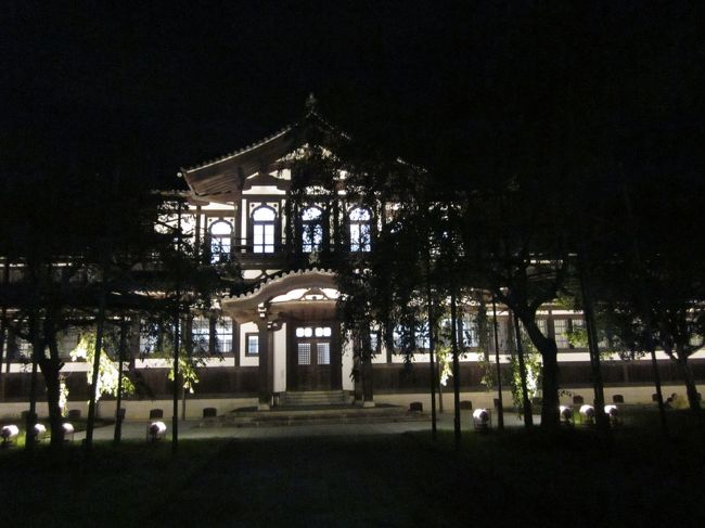 建物もライトアップされてるといつもとは違う感じです。<br />