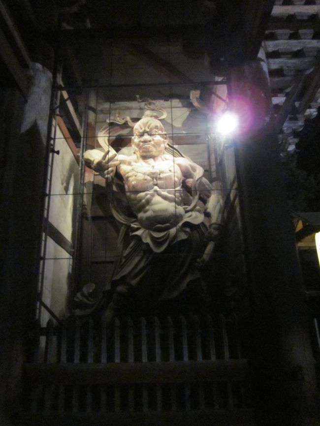 どちらも力強くきれいです。