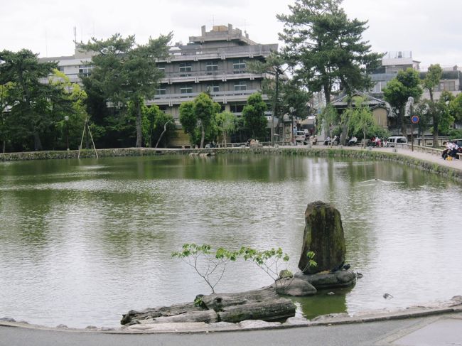 猿沢の池<br /><br />今回ホテルサンルート奈良に宿泊したので徒歩２〜３分<br /><br />