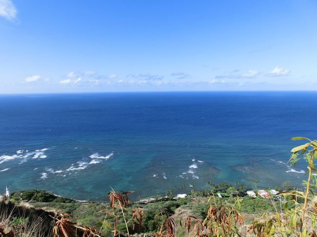 まもなく頂上が見えてきましたが･･･写真撮ったり景色を堪能する余裕はあまりありません。