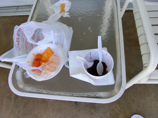 ワイキキショッピングプラザで解散です。<br />１１時前には戻ってきました。<br /><br />栄養補給のために、高橋果実店に行ってきました。<br />パパイヤのカットフルーツとアサイーのコールドアイスを購入して、ホテルのラナイで。（食べかけですみません）<br />おいしかった！