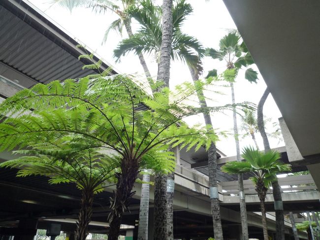 到着☆<br />ちょっとー、何で雨降ってるのー！？<br />ブツブツ文句を言いつつ、ＲＱしておいたロバーツシャトルでホテルまで。<br /><br />