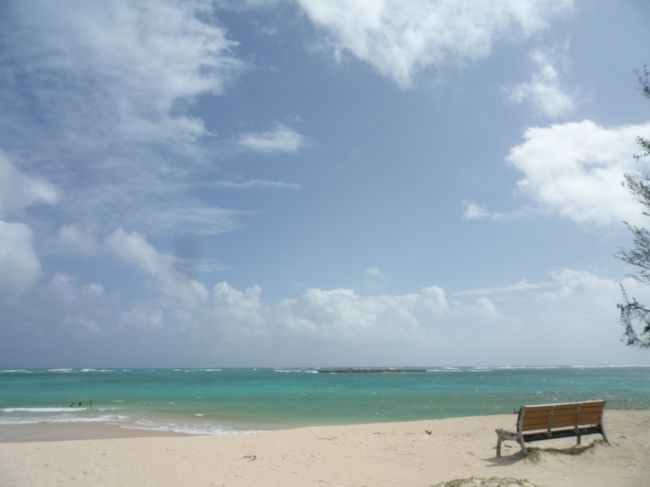 お隣カイルア・ビーチもキレイ☆<br />こちらも美しいビーチコンテストの常連だそう。