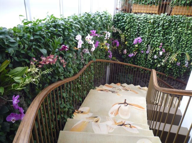 ホテルの階段。<br />本物の蘭だよー<br />キレイ☆