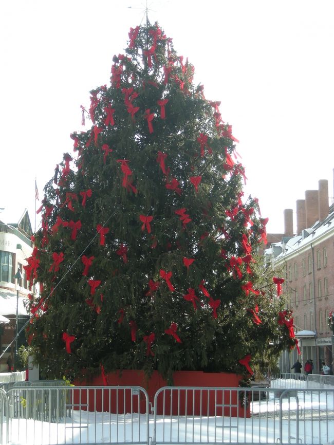 シーポートのツリーは木のにおいをぷんぷんさせてました。<br />リボンがかわいい、キャンディキャンディのようなツリー。