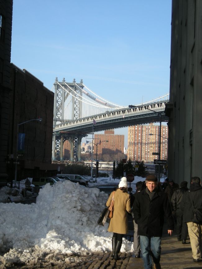 ブルックリンにはきたかったのだけど、まったく下調べをしておらず、ついたはいいが何をしたらいいのかわからず、街をぶらつく。